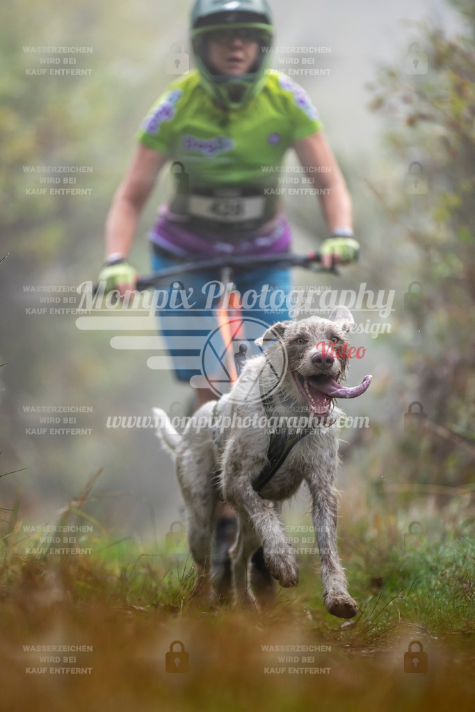 MompixPhotography_20TSB_E4_DS1-47 | PayLife