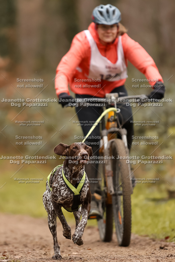 Dog Paparazzi - Speedhunter Mannheim  2025-346 | Dog Paparazzi Jeanette Grottendiek Fotografie & Videografie