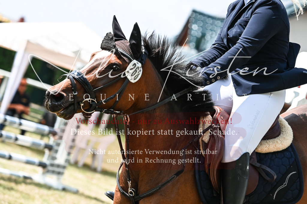 DSC_9296 | Pferde- und Turnierfotografie in Westsachsen. Pferdeportraits, Auftragszeichnungen und intuitive Kunst.