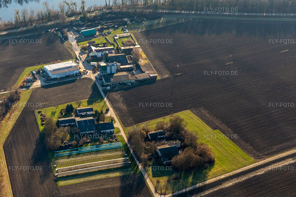 Luftbild: Richard Jungkind Kompost und Häckseln im Ortsteil Rheinsheim in Philippsburg im Bundesland Baden-Württemberg in Deutschland. Foto: IMG_125621.jpg vom 21.02.2021 durch Werner Riehm/FLY-FOTO.de