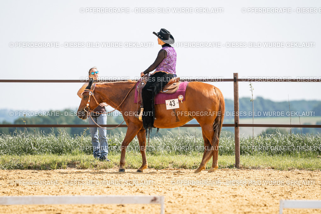 DSC09781 | Pferdegrafie