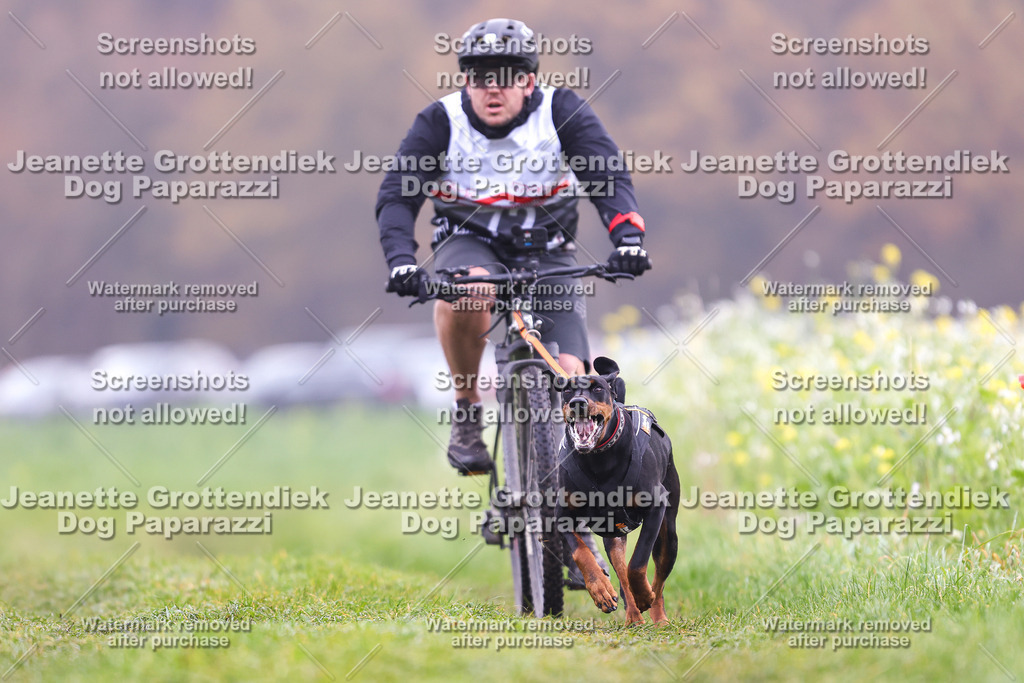 Dog Paparazzi - Visbeck 25 -267 | Dog Paparazzi Jeanette Grottendiek Fotografie & Videografie - Realisiert mit Pictrs.com