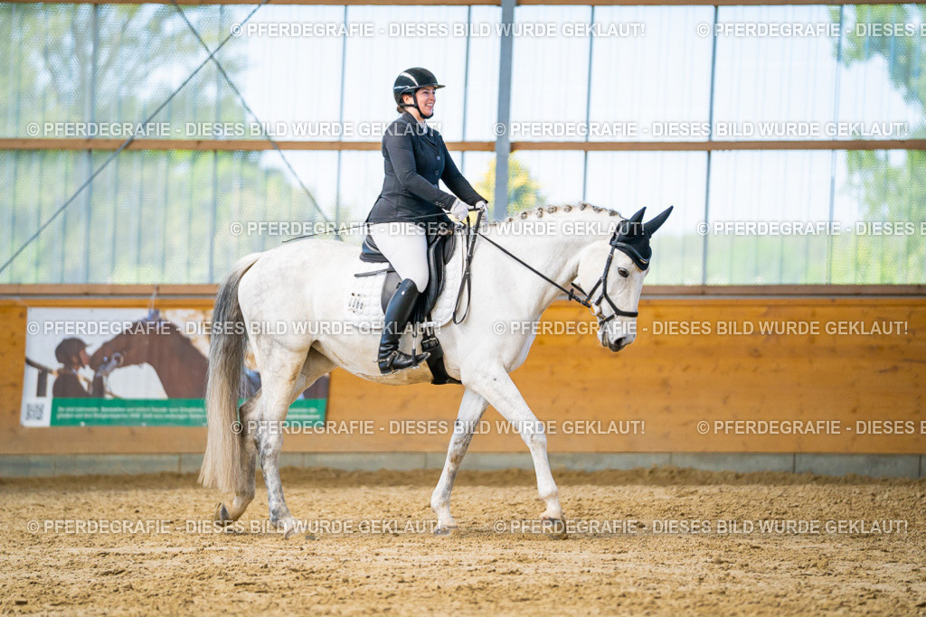 DSC07810 | Pferdegrafie