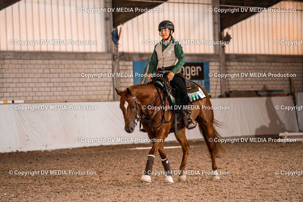 ZH300310 | dv-media-shop - Realisiert mit Pictrs.com