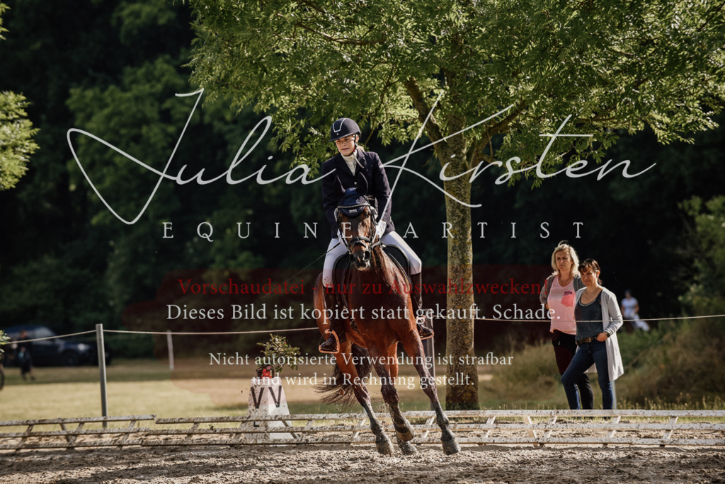 DSC_8773 | Pferde- und Turnierfotografie in Westsachsen. Pferdeportraits, Auftragszeichnungen und intuitive Kunst.