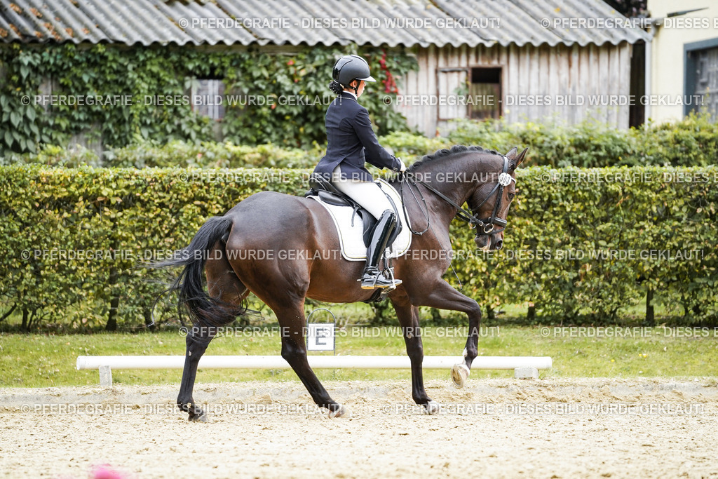 DSC00923 | Pferdegrafie