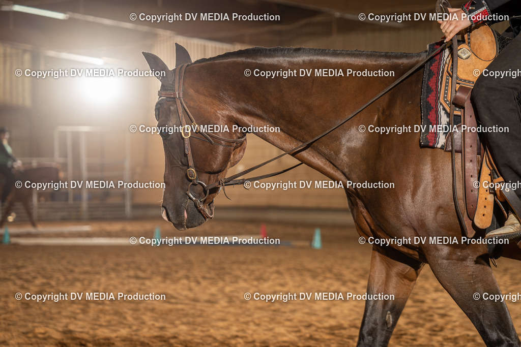 NID02565 | dv-media-shop - Realisiert mit Pictrs.com