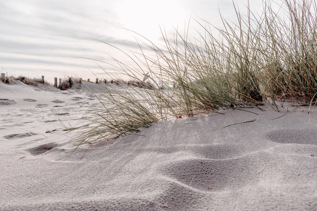 Wandbild: Strandgras im Sonnenschein am Sandstrand | Dieses Wandbild im Querformat zeigt einen schönen Sandstrand am Morgen. Im Vordergrund wachst Strandgras im Sand. Das Wandbild bringt einen schönen Sandton ein, der eine wohnliche Wirkung hat. Sie möchten Ihre Wände dezent aber stilvoll und elegant dekorieren? Dann holen Sie sich dieses maritime Wandbild. Es ist auf Leinwand, Aluminium-Platte, Acrylglas oder als Holzdruck erhältlich. Die Wandbilder werden individuell für Sie in vielen Abmessungen produziert. Daher passen die Ostseekult Wandbilder immer perfekt an Ihre Wände. - Realisiert mit Pictrs.com