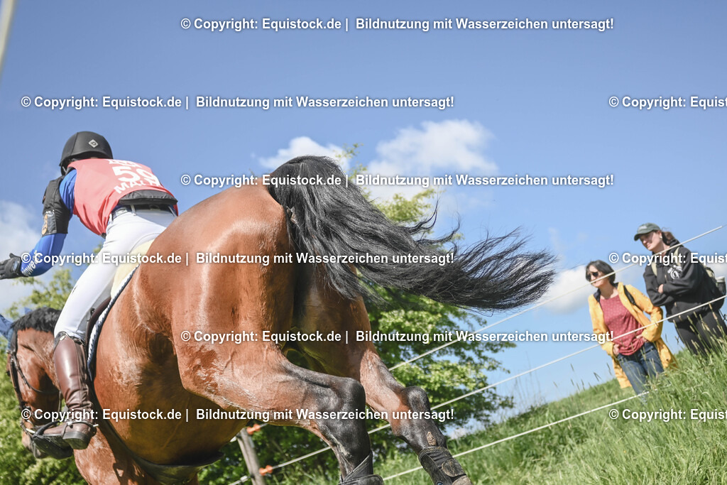 20250517_CCI2_Gelände_1605 | Foto: Thomas Hartig