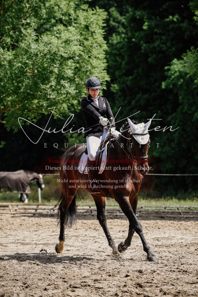 DSC_1040 | Pferde- und Turnierfotografie in Westsachsen. Pferdeportraits, Auftragszeichnungen und intuitive Kunst.