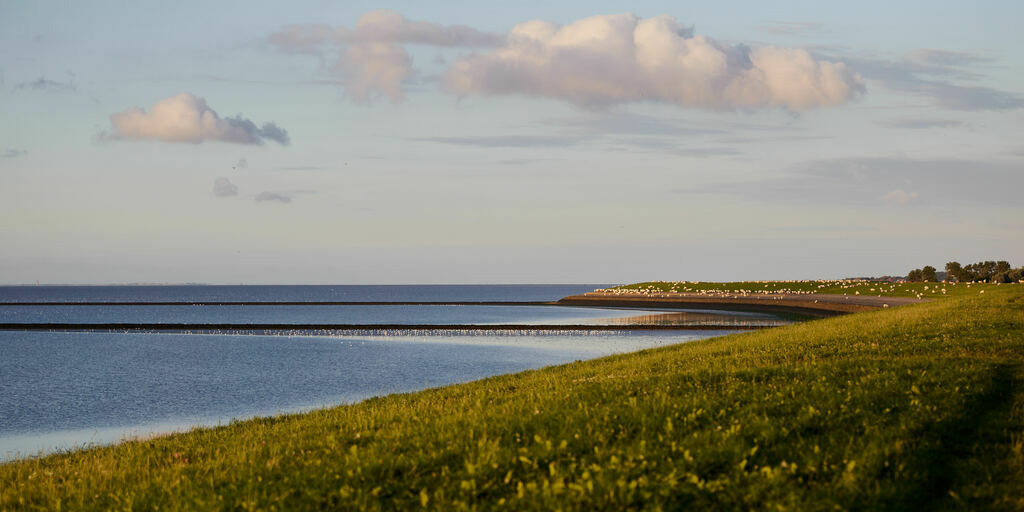 Ostfriesland | kleinen-fotografie