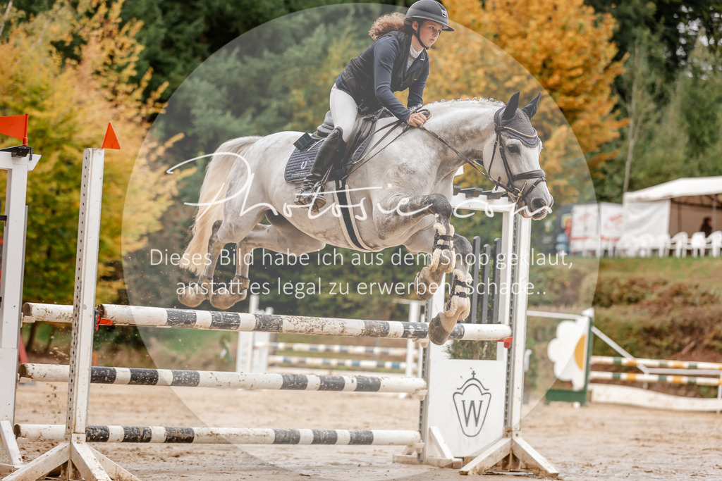 3I6A6812 | Stimmungsvolle Portraits und Reitsportfotografie im Ruhrgebiet und im Münsterland.

Pferdefotografie, Hundefotografie, Tierfotografie, Reportagen, Portraits von Tier und Mensch, Turnierfotografie in Bochum, Recklinghausen, Marl, Haltern am See, Dülmen.. - Realisiert mit Pictrs.com