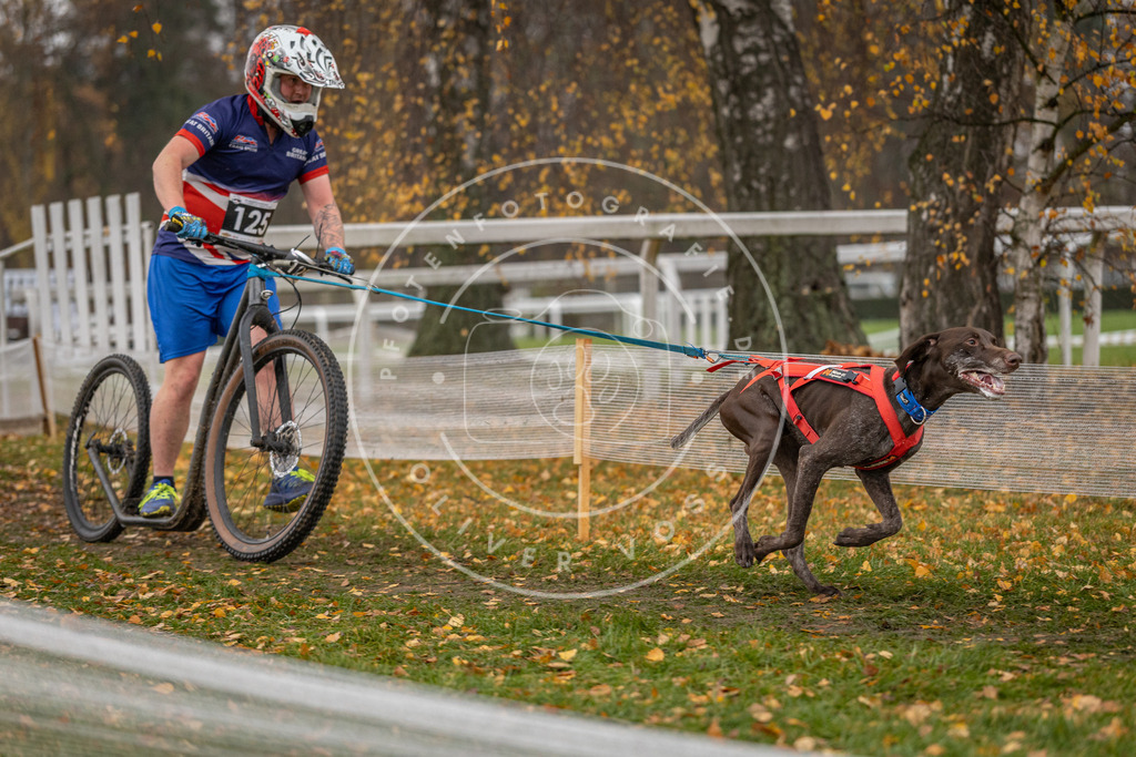 CaniXpix_DV3A8672 | Hundefotografie, Tierfotograf, Pfotenfotografie, Fotoshooting Hund, Hunde Portrait, Hundesport, Hundeportraits, Heideshooting, Hunde, Sportfotograf, Hundefotograf, Turnierhundsport, THS,  - Realisiert mit Pictrs.com