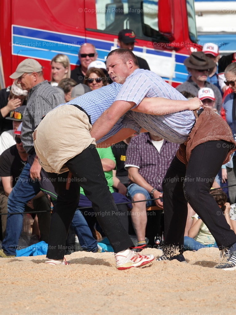 DSC06430 | Schwingen - Realisiert mit Pictrs.com