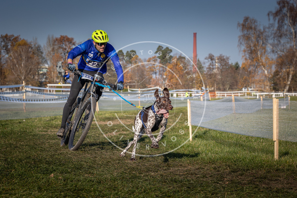 CaniXpix_0L8A6305 | Hundefotografie, Tierfotograf, Pfotenfotografie, Fotoshooting Hund, Hunde Portrait, Hundesport, Hundeportraits, Heideshooting, Hunde, Sportfotograf, Hundefotograf, Turnierhundsport, THS,  - Realisiert mit Pictrs.com