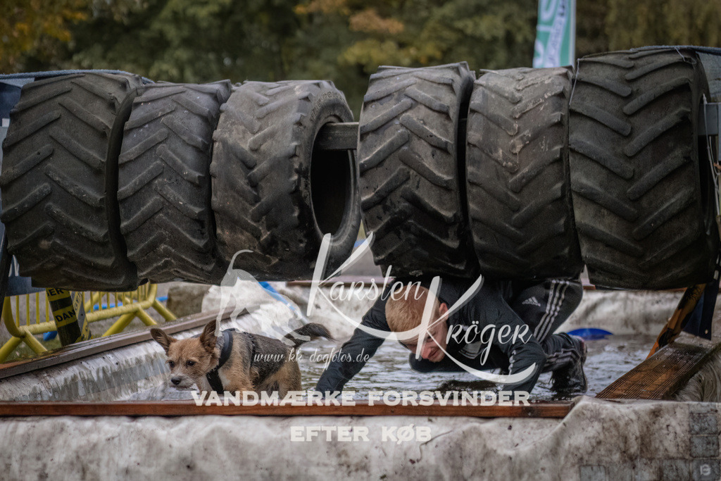 1658_ZZ94555 | kk-dogfotos