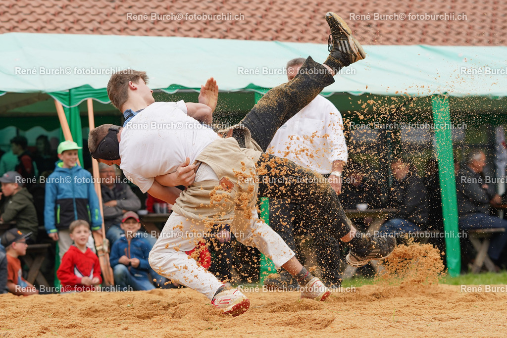 20220423-DSC08840 (2) | René Burch leidenschaftlicher Fotograf aus Kerns in Obwalden.  Hier finden sie Sport, Landschaft und Natur Fotografie.
 - Realisiert mit Pictrs.com