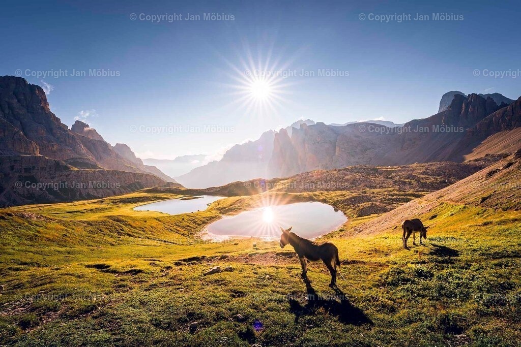 _DSC0816 | Leipzig Wandbilder Drucke Prints Leinwand Stadtmotive Leipzig Fotosdruck Kunstdrucke Bilder Leipzig Stadtansichten Acrylglasbilder Leipzig Wanddeko Fine Art Prints Wandbilder Büro Leipzig Bilder Praxis Zuhause Bilderdruck Poster Posterlounge Kunstdrucke - Realisiert mit Pictrs.com