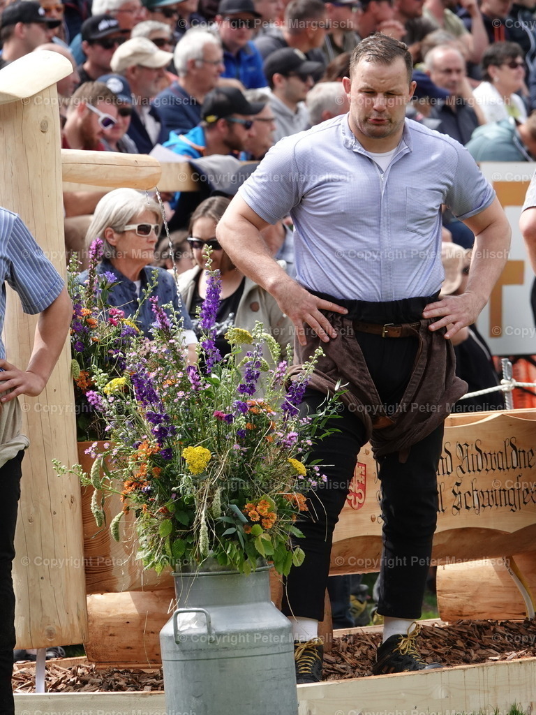 DSC07213 | Schwingen - Realisiert mit Pictrs.com