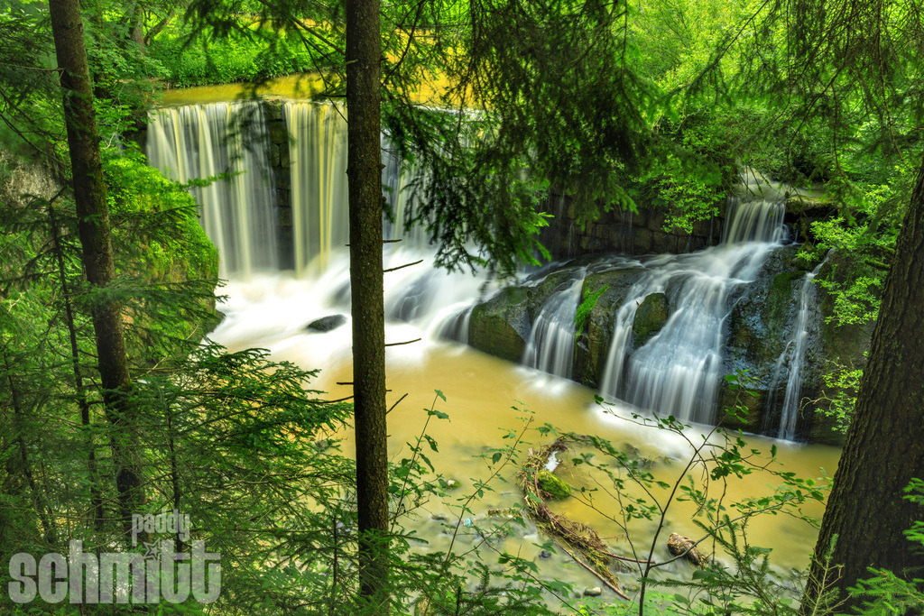 PS-Natur-2026-164 | Entdecke die größte Bildgalerie der Region mit Fotografien aus dem Allgäu, der Bodenseeregion, Oberschwaben, dem Donautal und der Schwäbischen Alb. Landschaften, Luftaufnahmen und Reisefotografie als Wandbild und Fotokunst. - Realisiert mit Pictrs.com