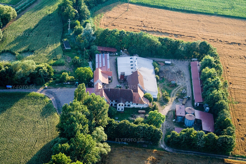 Luftbild: am Erlenbach, Leistenmühle in Kandel im Bundesland Rheinland-Pfalz in Deutschland. Foto: IMG_11787.jpg vom 25.07.2008 durch Werner Riehm/FLY-FOTO.de