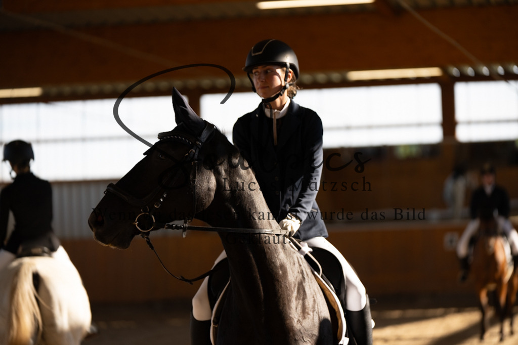 A7V01818 | Turnier/Reitfotograf