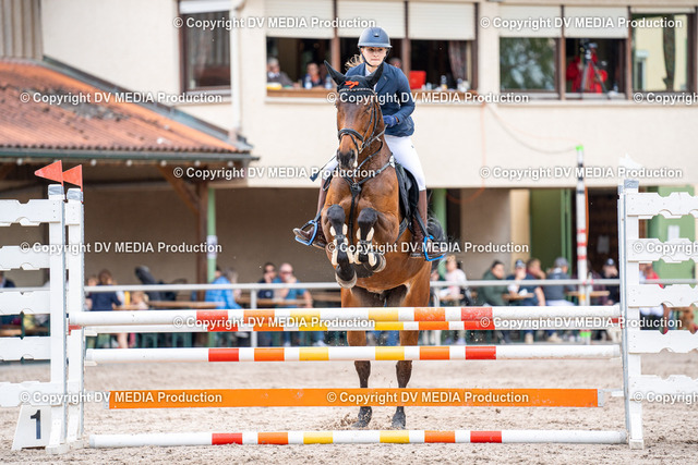 Eppelheim Tag 2-551 | dv-media-shop - Realized with Pictrs.com