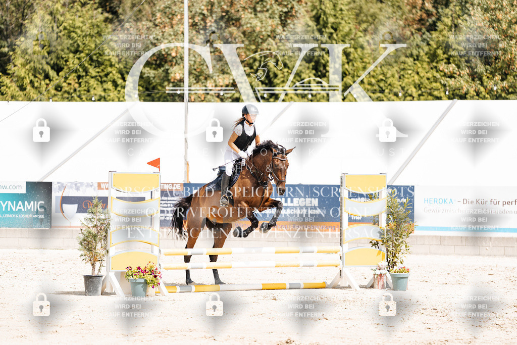 CK906721 | Turnierfotografie Pferdefotografie Trier Rheinland-Pfalz Pferdesport Reitsport Tierfotografie Sportfotografie Pferdevideo Pferdevideografie Equestrianvideography equestrianphotography  - Realisiert mit Pictrs.com