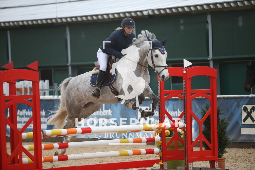 AS8V1579 | Willkommen bei Brunnmayr - Design & Fotografie – Ihrem Spezialisten für Reitturniere und Pferdeveranstaltungen in Oberösterreich, Salzburg und Bayern! Seit über 17 Jahren sind wir leidenschaftlich dabei.