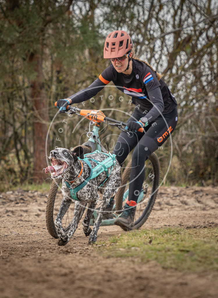 Pfotenfotografie_DV3A9140 | Hundefotografie, Tierfotograf, Pfotenfotografie, Fotoshooting Hund, Hunde Portrait, Hundesport, Hundeportraits, Heideshooting, Hunde, Sportfotograf, Hundefotograf, Turnierhundsport, THS,  - Realisiert mit Pictrs.com