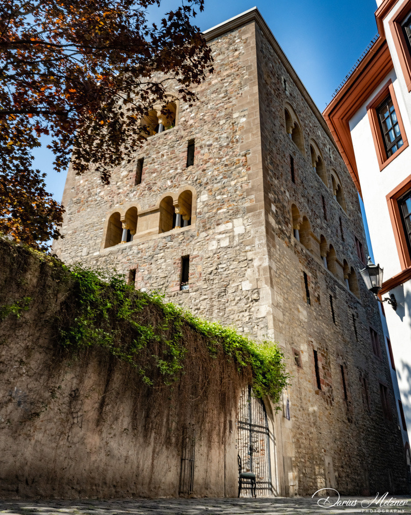 _DSC7957 | Fotografien, Fotos und Bilder aus Mainz, Frankfurt, Wiesbaden und anderen Orten auf der Welt - Fotografiert von Darius Metzner