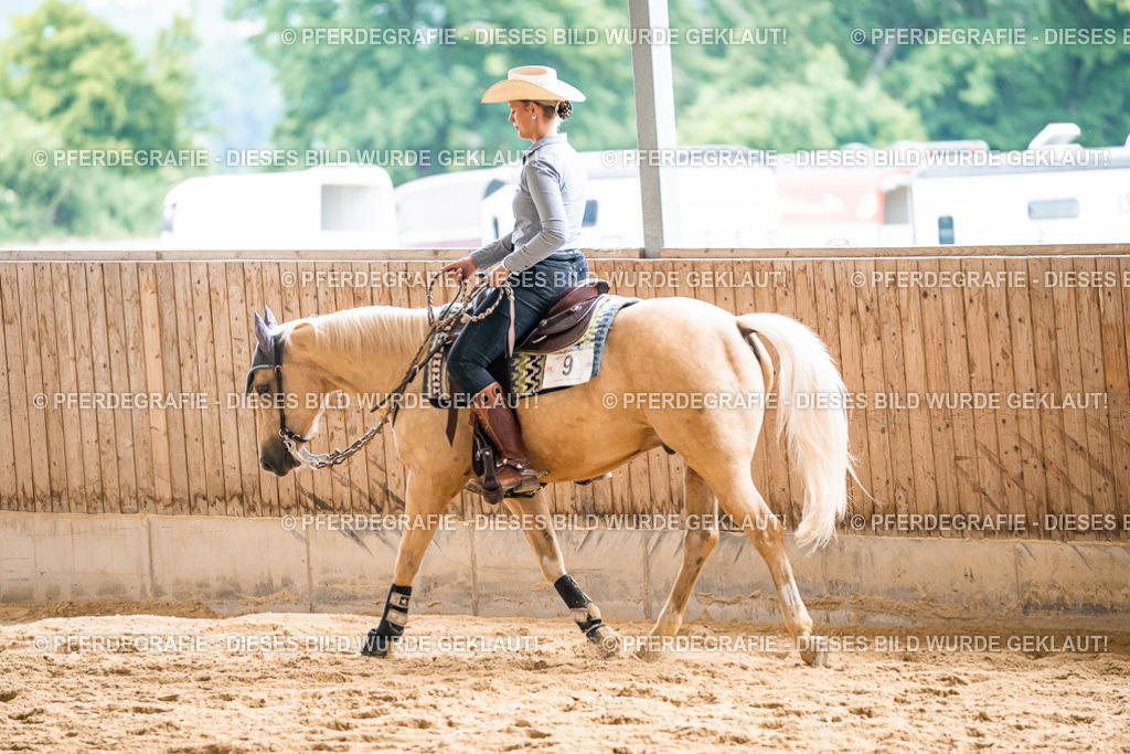 DSC00602 | Pferdegrafie