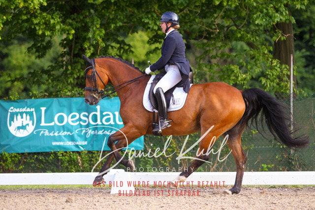 DKP41586 | Turniersportfotografie; Pferdefotografie; Dressurfotografie