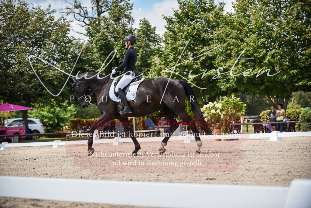 DSC_9052 | Pferde- und Turnierfotografie in Westsachsen. Pferdeportraits, Auftragszeichnungen und intuitive Kunst.