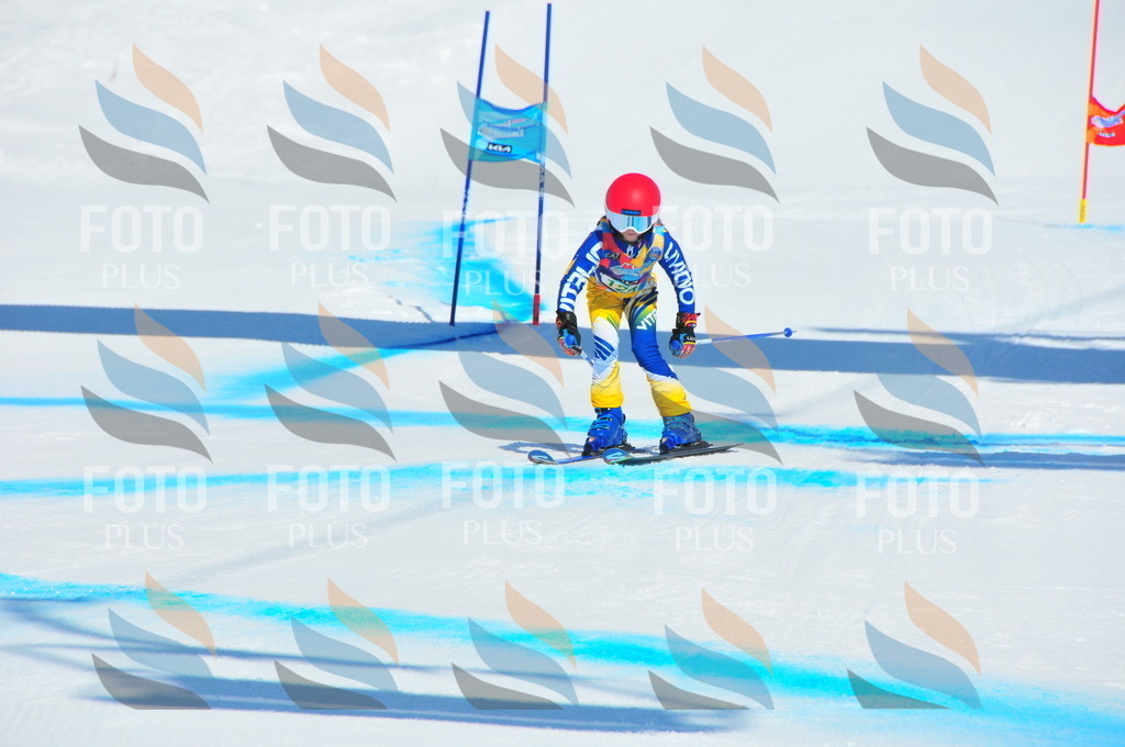 DSC_0992 | holidayphoto