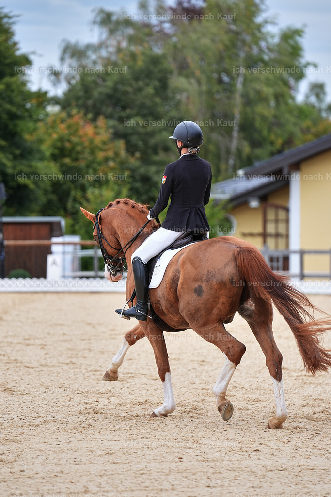 04_1-180-Dressur M__ -Marixx-2778 | working equitationturnier fotograf videograf stoibphotography marixx film working equitation deutschland reitsport turnierfotografie eventfotografie equestrian events