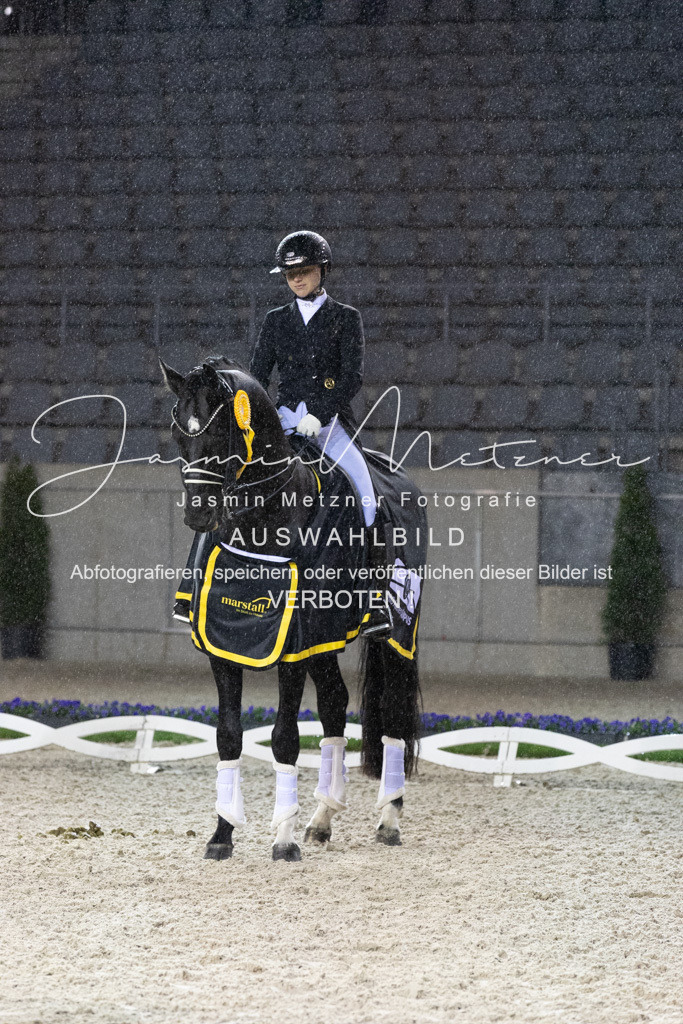 126A4132 | jasminmetznerfotografie