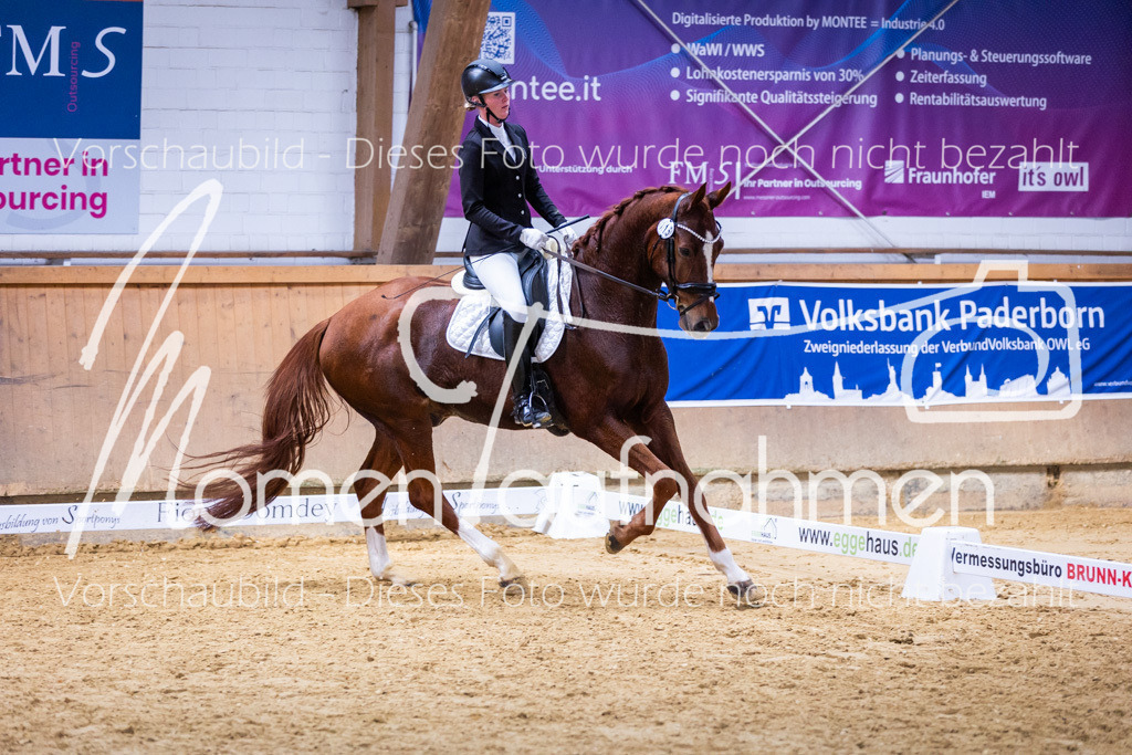 Sth-A-Dre-2St-160 | MomenTaufnahmen Pferdesportfotos