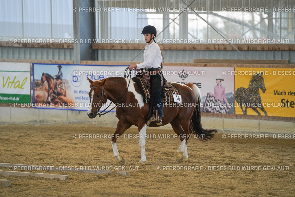 DSC09036 | Pferdegrafie