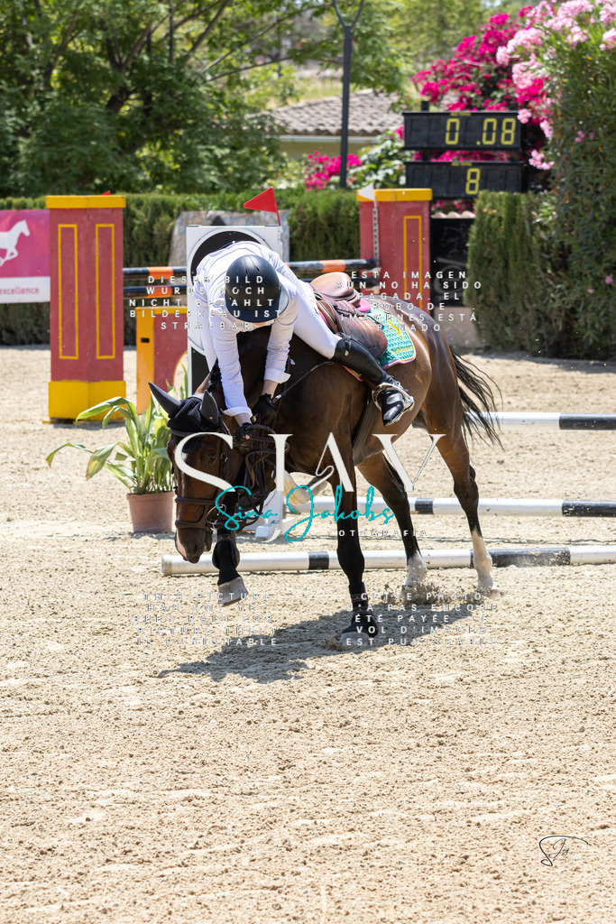 IMG_7410 | s-jay-photography - Realisiert mit Pictrs.com