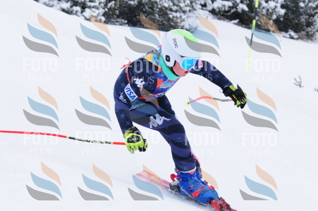 C3102 | holidayphoto