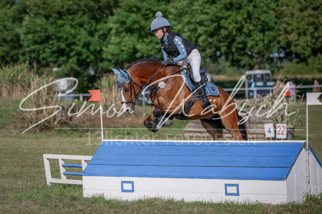 20250907-_3LI9161 | Tierfotografie Pferde, Hunde, Katzen, Haustiere.
Turnierfotografie Reitturniere, Reiten, Springreiten, Dressur in Hanau, dem Main-Kinzig-Kreis und dem Rhein-Main- Gebiet um Frankfurt