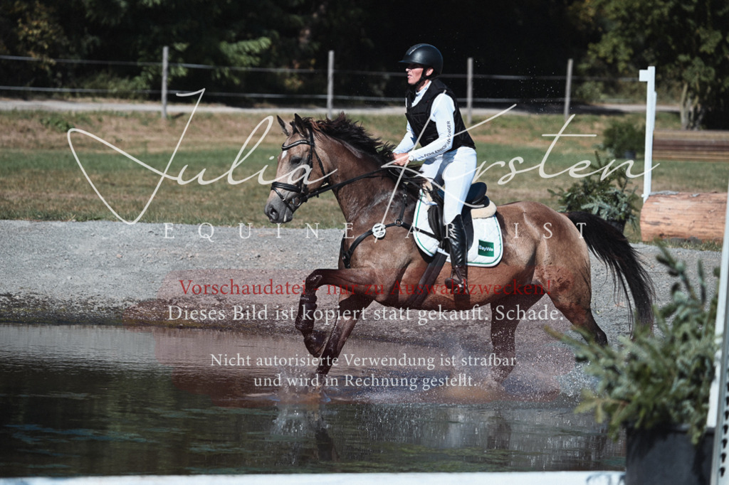 DSC_8696 | Pferde- und Turnierfotografie in Westsachsen. Pferdeportraits, Auftragszeichnungen und intuitive Kunst.