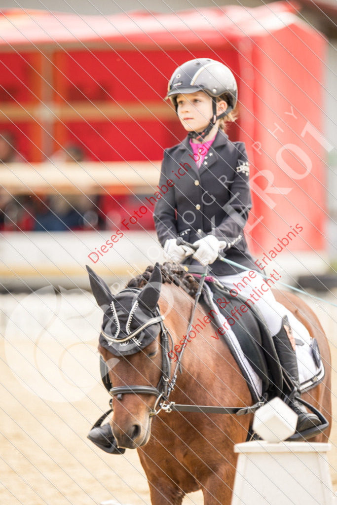 CON_0444 | Sport-, Event- und Tierfotos in Profiqualität. Einfach auswählen, bestellen und herunterladen. Dein Moment – perfekt festgehalten.
