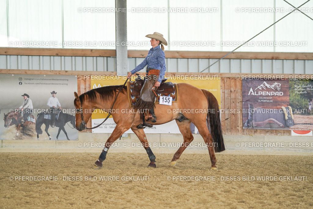 DSC01523 | Pferdegrafie