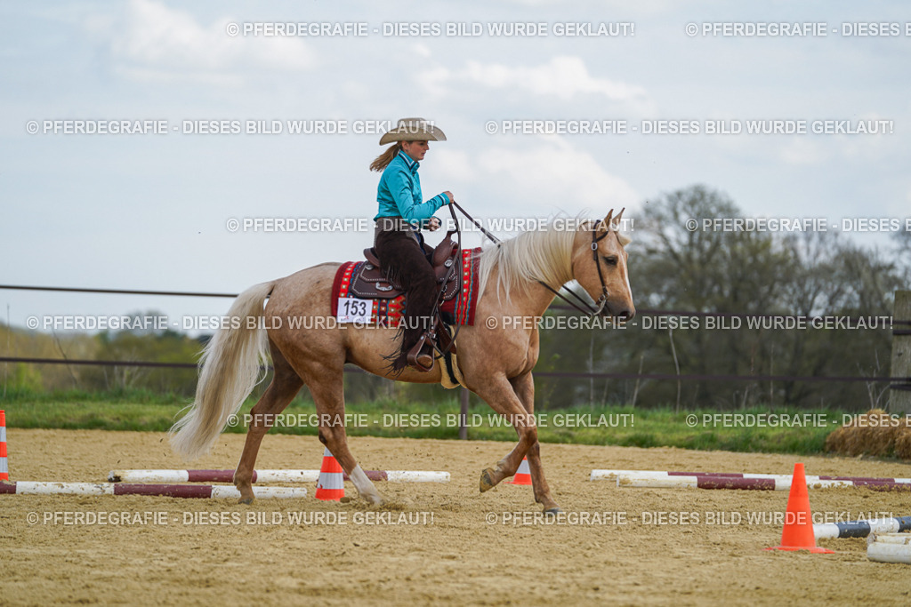 DSC05380 | Pferdegrafie