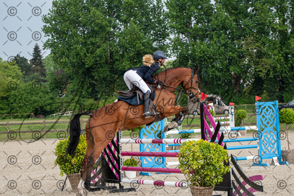 KPT_3130 | andre_photographic