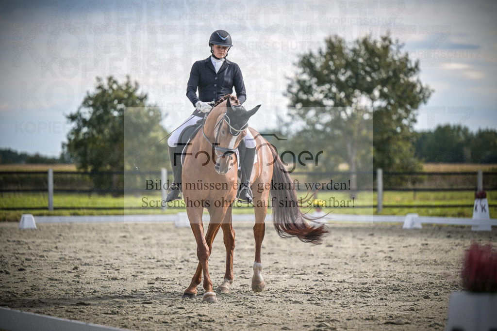 DOS_0999 | Entdecke hochwertige Reitturnierfotos von Foto Oger. Professionell, emotional und authentisch – jetzt Lieblingsmomente im Shop bestellen.Deutschlandweite Turnierfotografie. - Realisiert mit Pictrs.com