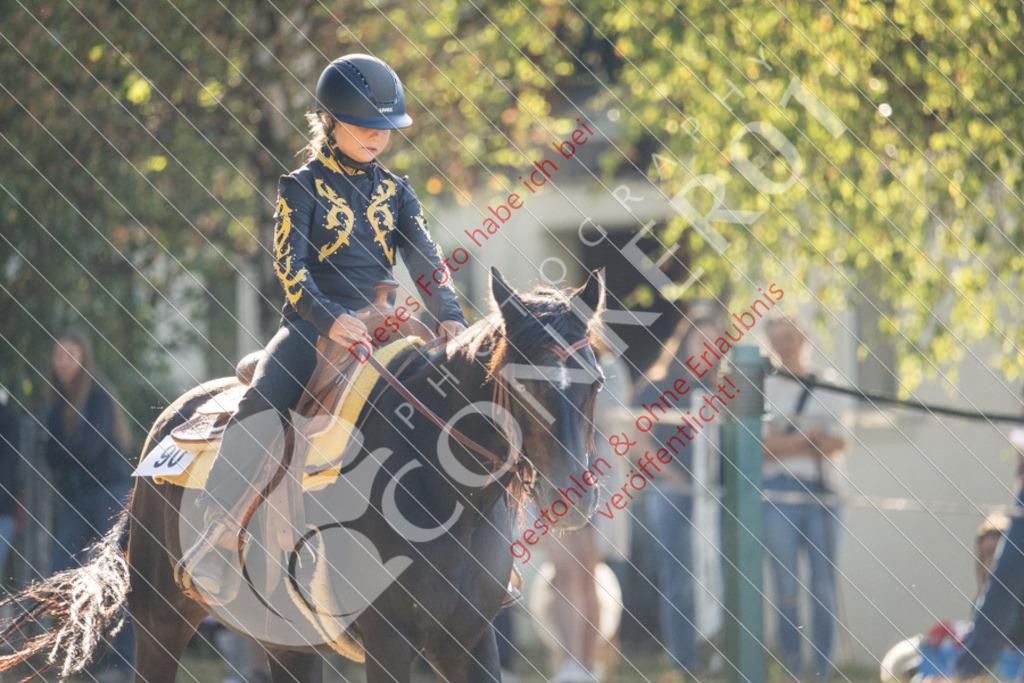 IMG_6370 | Sport-, Event- und Tierfotos in Profiqualität. Einfach auswählen, bestellen und herunterladen. Dein Moment – perfekt festgehalten.