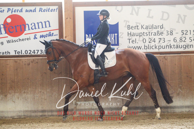 DKP43556 | Turniersportfotografie; Pferdefotografie; Dressurfotografie